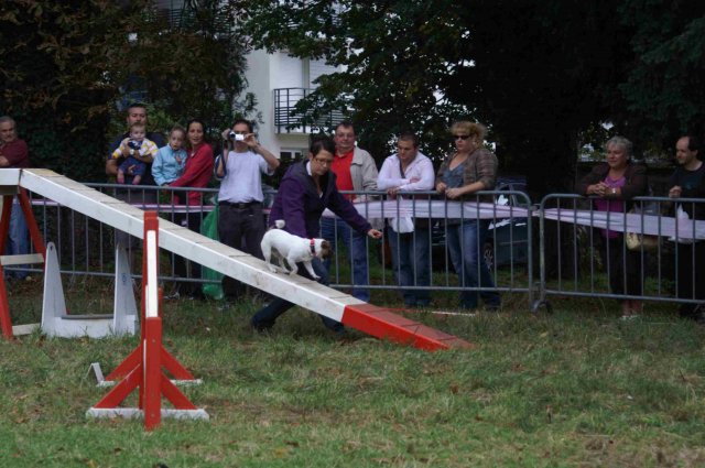 foire-haricots 2011-09-17et18